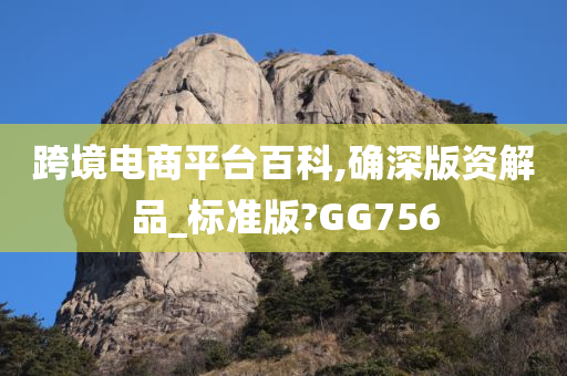 跨境电商平台百科,确深版资解品_标准版?GG756