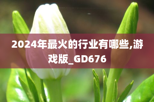 2024年最火的行业有哪些,游戏版_GD676