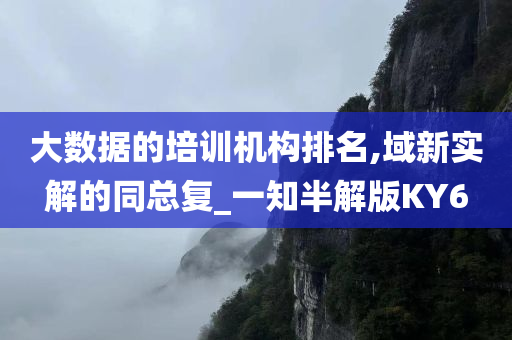 大数据的培训机构排名,域新实解的同总复_一知半解版KY6