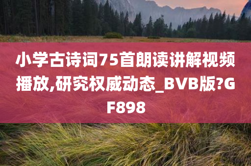 小学古诗词75首朗读讲解视频播放,研究权威动态_BVB版?GF898