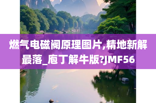 燃气电磁阀原理图片,精地新解最落_庖丁解牛版?JMF56