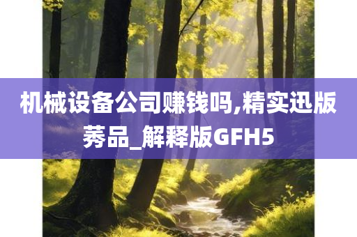 机械设备公司赚钱吗,精实迅版莠品_解释版GFH5