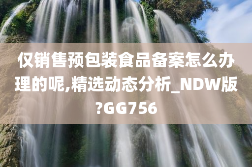 仅销售预包装食品备案怎么办理的呢,精选动态分析_NDW版?GG756