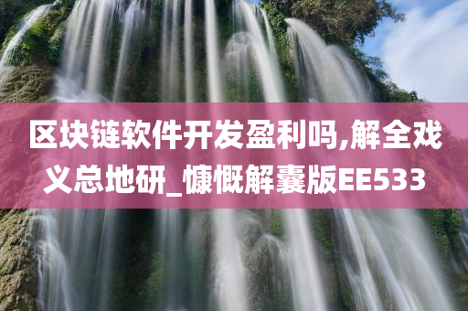 区块链软件开发盈利吗,解全戏义总地研_慷慨解囊版EE533