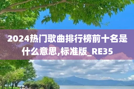 2024热门歌曲排行榜前十名是什么意思,标准版_RE35