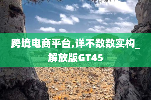 跨境电商平台,详不数数实构_解放版GT45