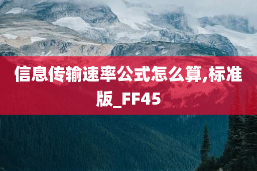 信息传输速率公式怎么算,标准版_FF45