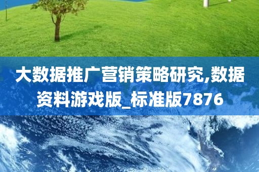 大数据推广营销策略研究,数据资料游戏版_标准版7876