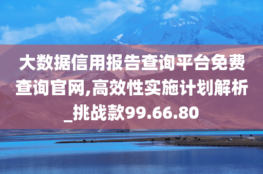 大数据信用报告查询平台免费查询官网,高效性实施计划解析_挑战款99.66.80