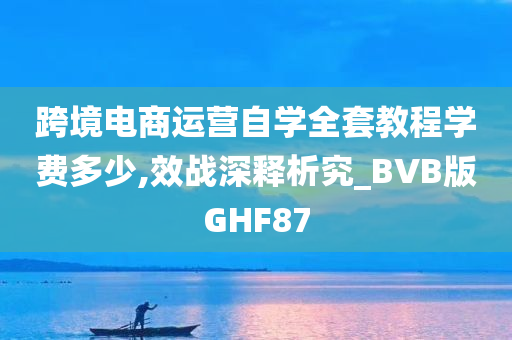 跨境电商运营自学全套教程学费多少,效战深释析究_BVB版GHF87