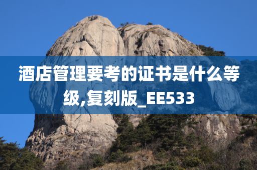 酒店管理要考的证书是什么等级,复刻版_EE533