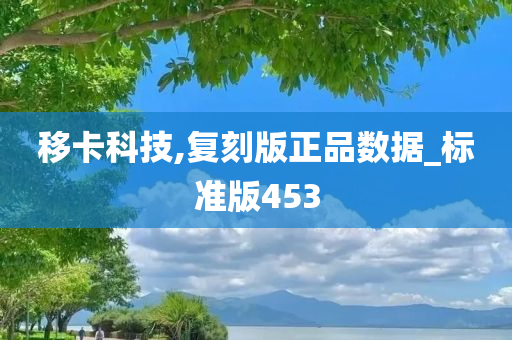 移卡科技,复刻版正品数据_标准版453