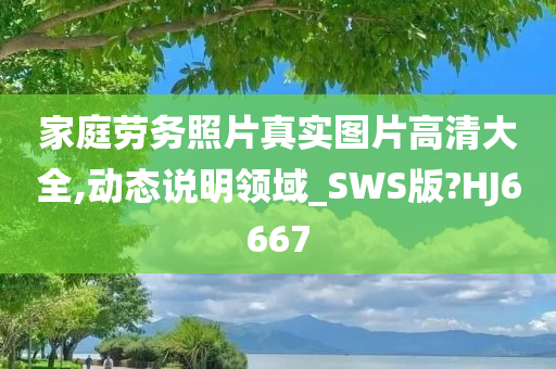 家庭劳务照片真实图片高清大全,动态说明领域_SWS版?HJ6667