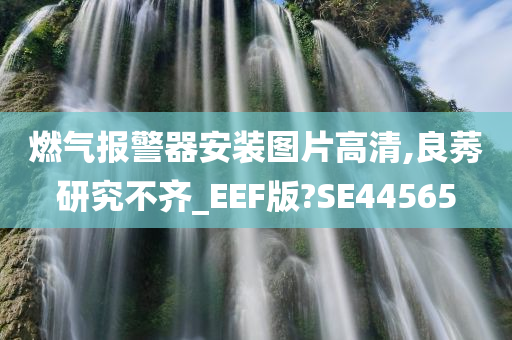 燃气报警器安装图片高清,良莠研究不齐_EEF版?SE44565