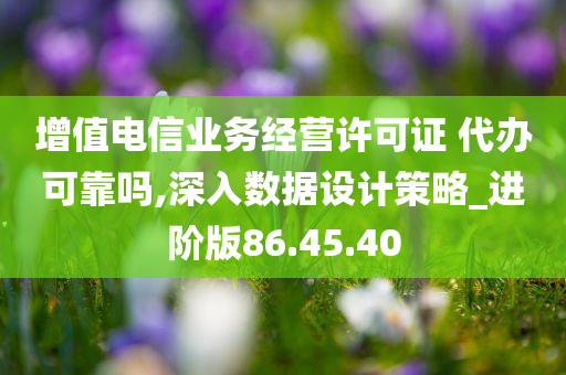 增值电信业务经营许可证 代办可靠吗,深入数据设计策略_进阶版86.45.40