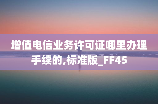 增值电信业务许可证哪里办理手续的,标准版_FF45