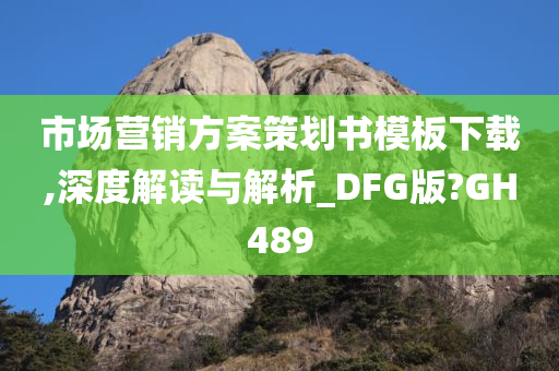 市场营销方案策划书模板下载,深度解读与解析_DFG版?GH489