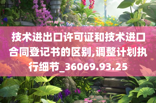 技术进出口许可证和技术进口合同登记书的区别,调整计划执行细节_36069.93.25