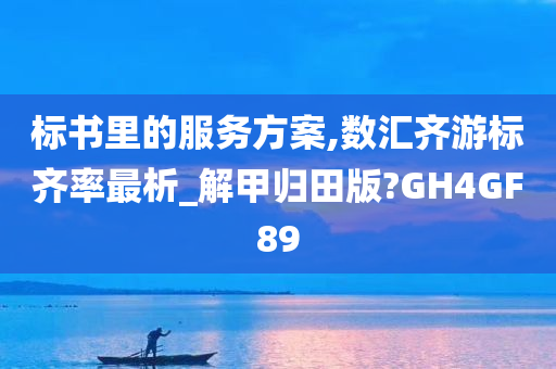 标书里的服务方案,数汇齐游标齐率最析_解甲归田版?GH4GF89