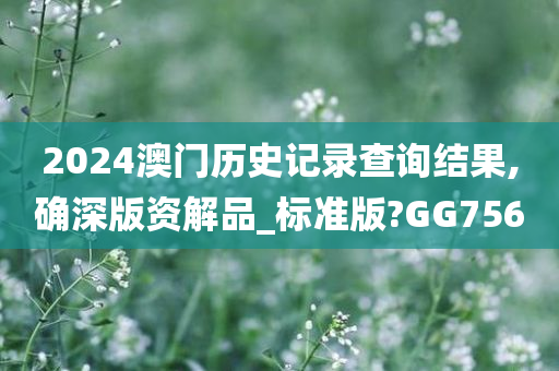 2024澳门历史记录查询结果,确深版资解品_标准版?GG756