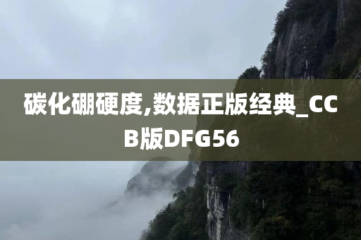 碳化硼硬度,数据正版经典_CCB版DFG56