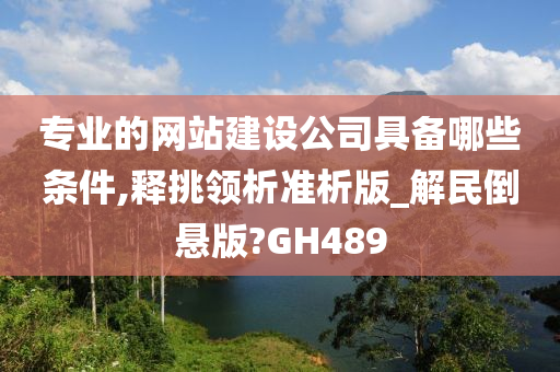 专业的网站建设公司具备哪些条件,释挑领析准析版_解民倒悬版?GH489