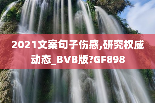 2021文案句子伤感,研究权威动态_BVB版?GF898