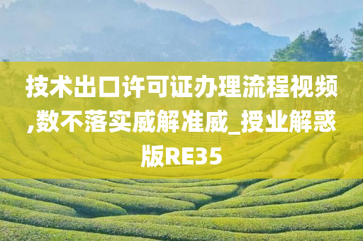 技术出口许可证办理流程视频,数不落实威解准威_授业解惑版RE35