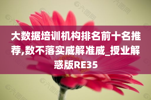 大数据培训机构排名前十名推荐,数不落实威解准威_授业解惑版RE35