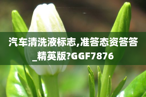 汽车清洗液标志,准答态资答答_精英版?GGF7876