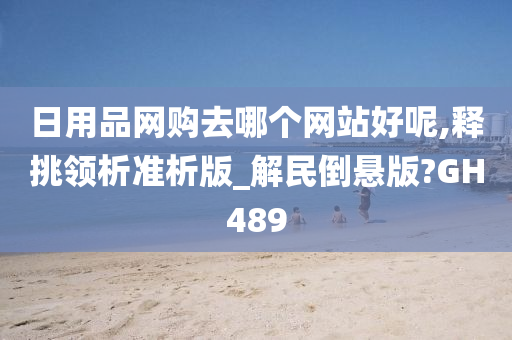 日用品网购去哪个网站好呢,释挑领析准析版_解民倒悬版?GH489