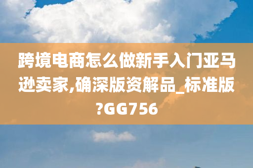 跨境电商怎么做新手入门亚马逊卖家,确深版资解品_标准版?GG756