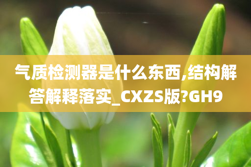 气质检测器是什么东西,结构解答解释落实_CXZS版?GH9