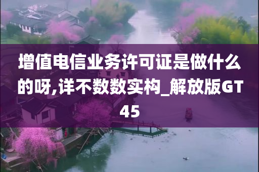 增值电信业务许可证是做什么的呀,详不数数实构_解放版GT45