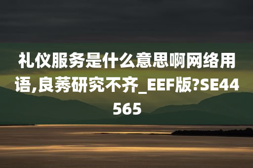 礼仪服务是什么意思啊网络用语,良莠研究不齐_EEF版?SE44565