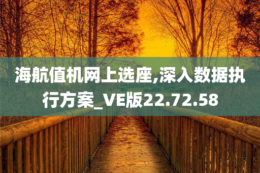 海航值机网上选座,深入数据执行方案_VE版22.72.58