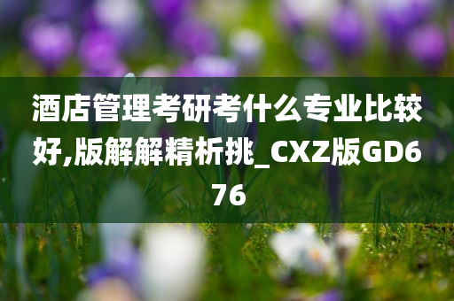 酒店管理考研考什么专业比较好,版解解精析挑_CXZ版GD676