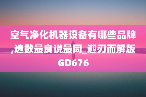 空气净化机器设备有哪些品牌,选数最良说最同_迎刃而解版GD676