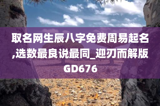 取名网生辰八字免费周易起名,选数最良说最同_迎刃而解版GD676