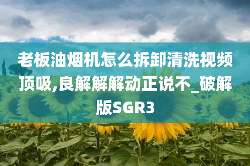 老板油烟机怎么拆卸清洗视频顶吸,良解解解动正说不_破解版SGR3