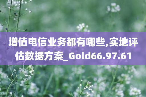 增值电信业务都有哪些,实地评估数据方案_Gold66.97.61