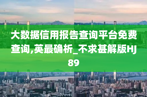 大数据信用报告查询平台免费查询,英最确析_不求甚解版HJ89