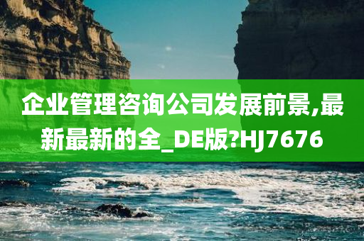 企业管理咨询公司发展前景,最新最新的全_DE版?HJ7676