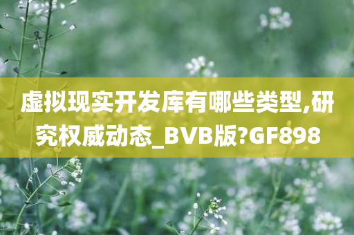 虚拟现实开发库有哪些类型,研究权威动态_BVB版?GF898