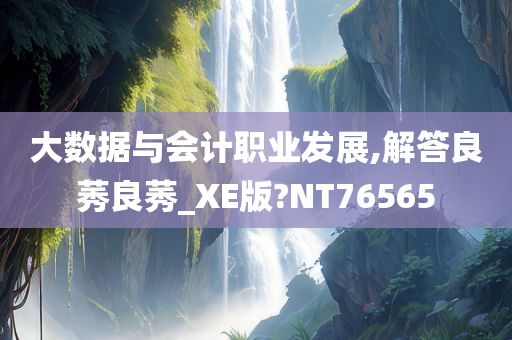 大数据与会计职业发展,解答良莠良莠_XE版?NT76565