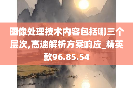 图像处理技术内容包括哪三个层次,高速解析方案响应_精英款96.85.54