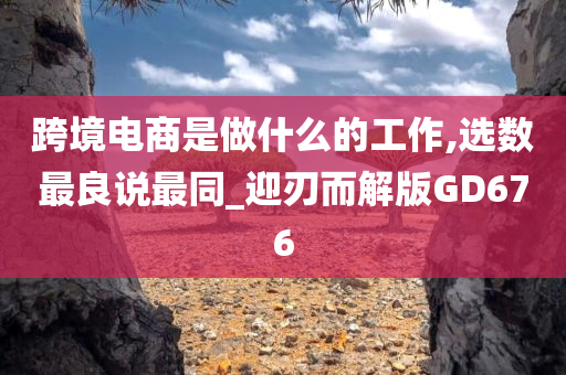 跨境电商是做什么的工作,选数最良说最同_迎刃而解版GD676