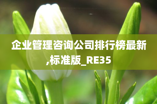 企业管理咨询公司排行榜最新,标准版_RE35