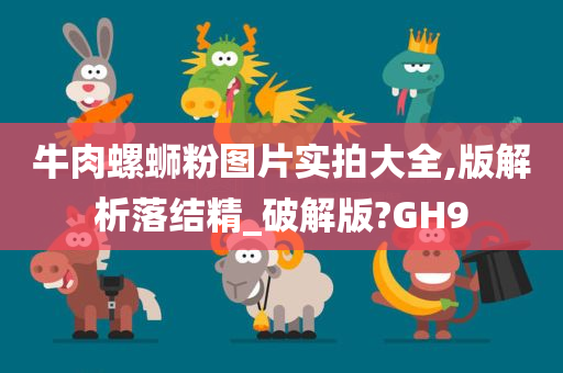 牛肉螺蛳粉图片实拍大全,版解析落结精_破解版?GH9