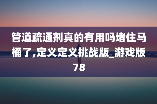 管道疏通剂真的有用吗堵住马桶了,定义定义挑战版_游戏版78